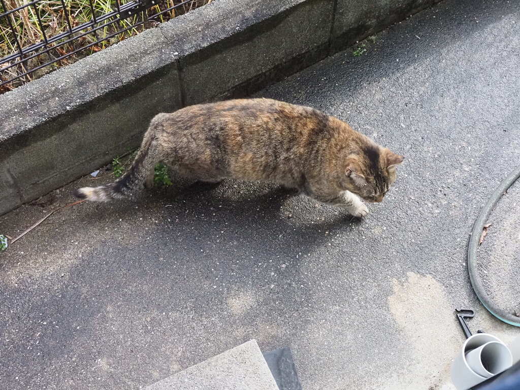 「寒さに負けねえぞ」♪