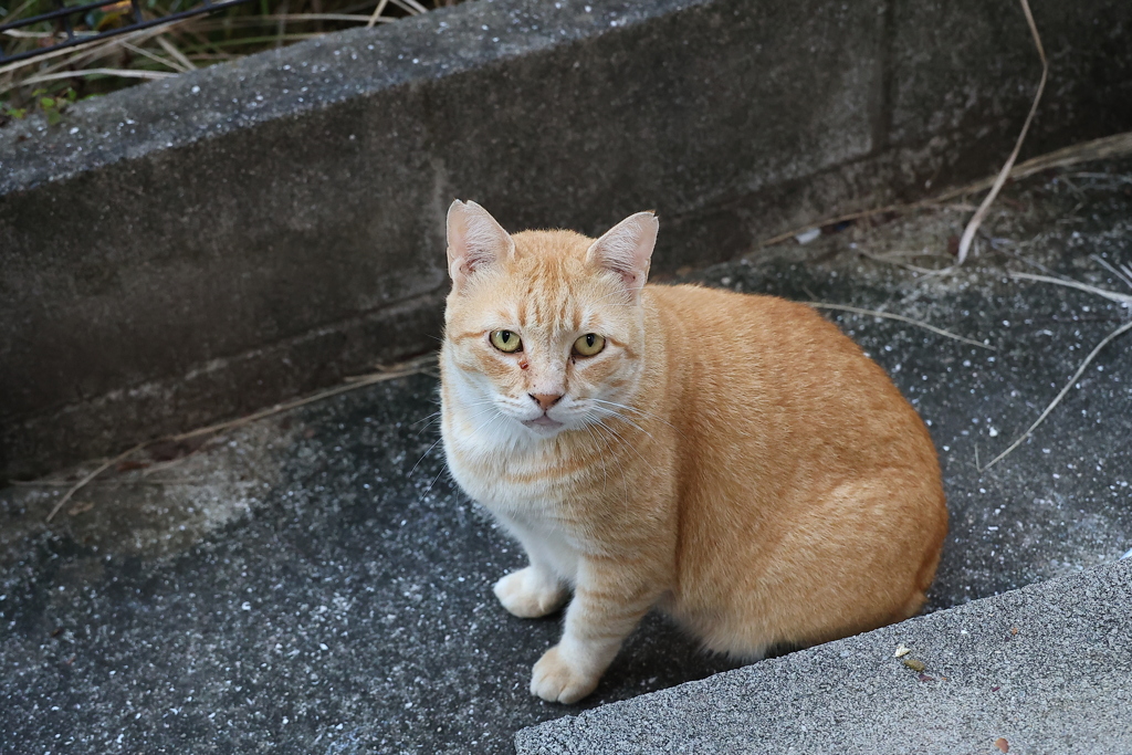 餌待ち（続編）♪