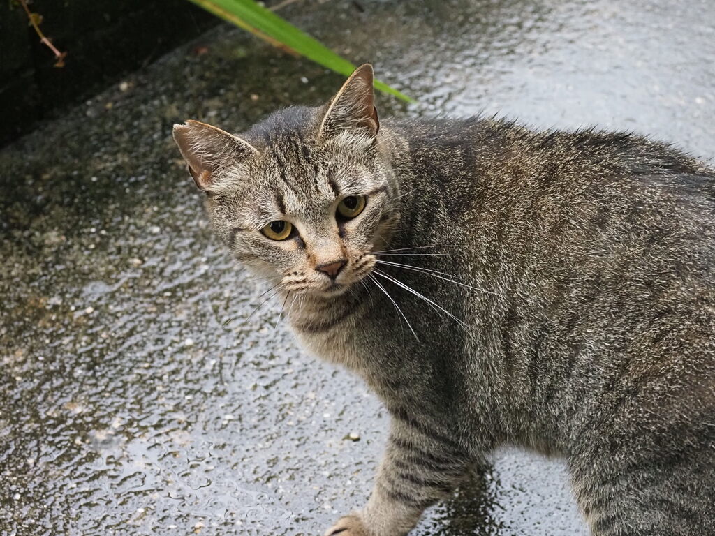 台風でも来た♪