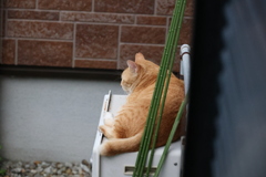 先陣争い♪