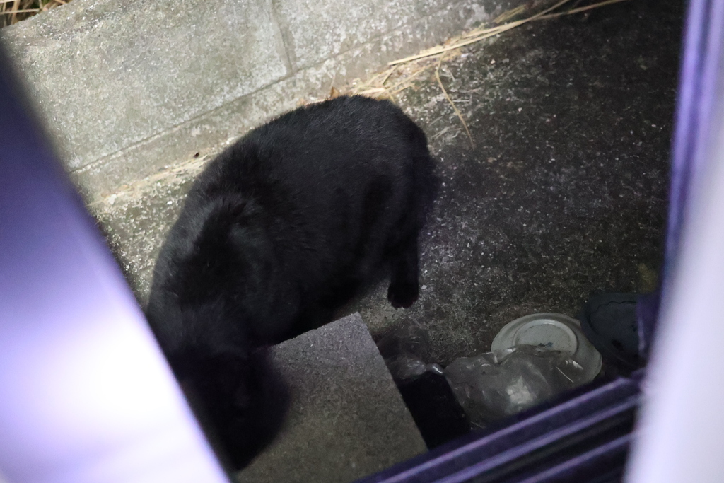 思ったとおり♪