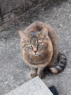 「寒いの苦手」♪