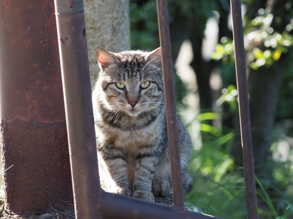 忘れ去られた公園で♪