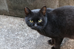 愛嬌たっぷり♪