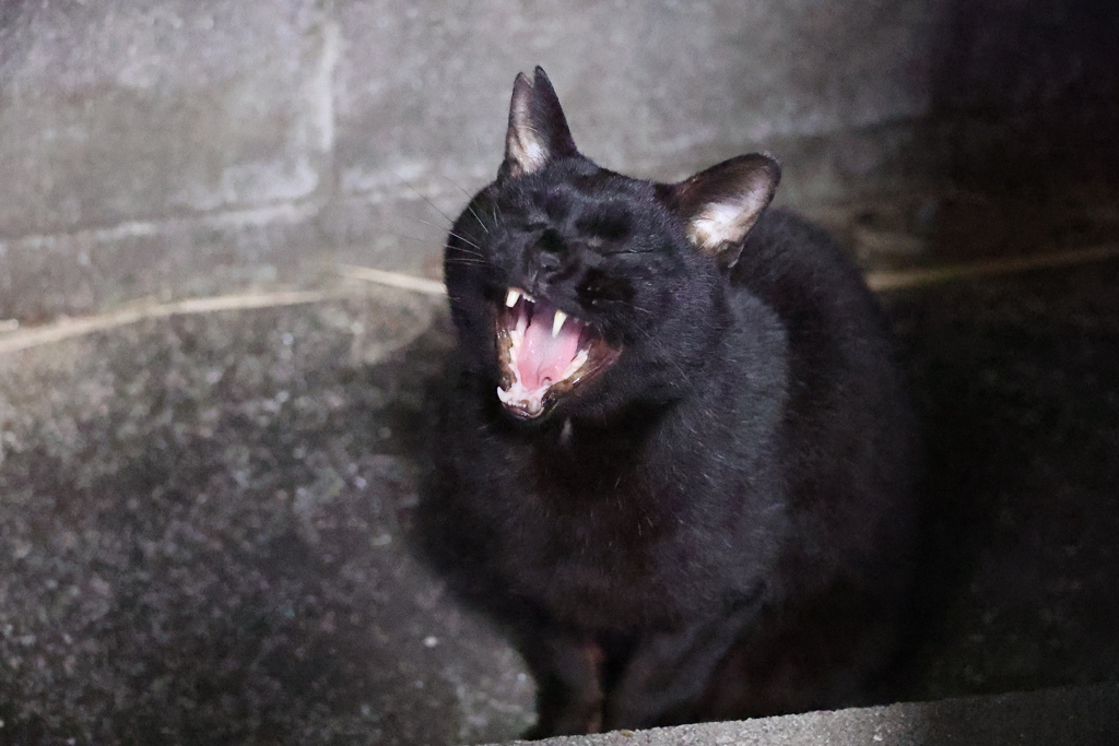 超ドライ♪