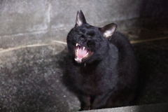 超ドライ♪