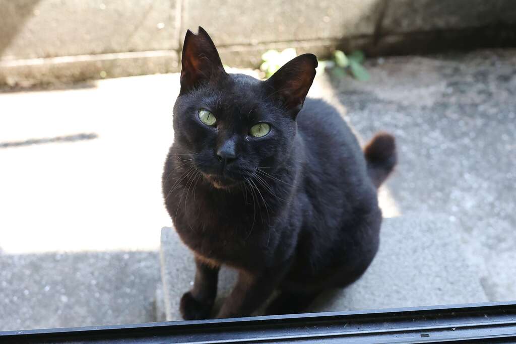 鳴き声♪