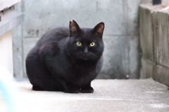 あなたは、だあれ♪