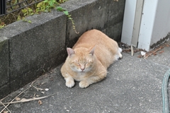 朝は、眠～い♪