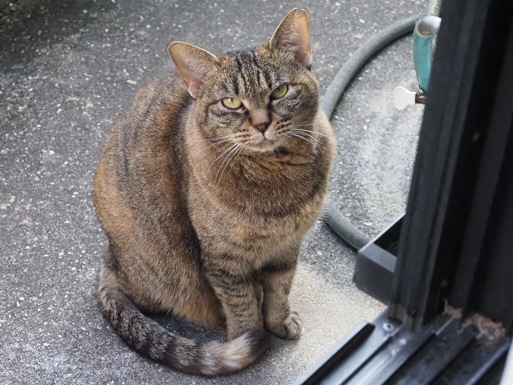 「午後食べ」♪