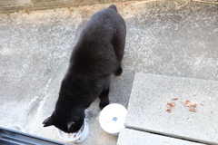 ホタテ味♪