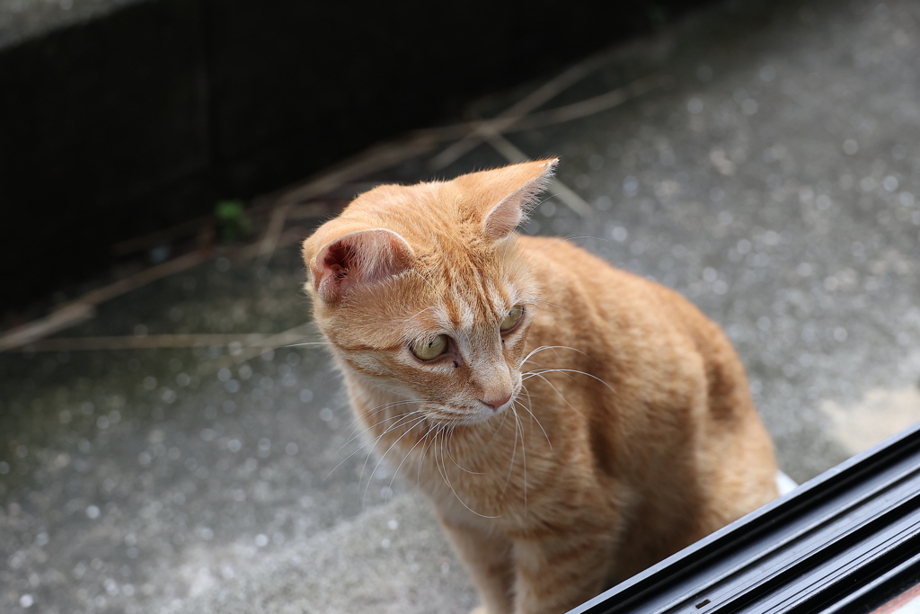 覗き込む♪