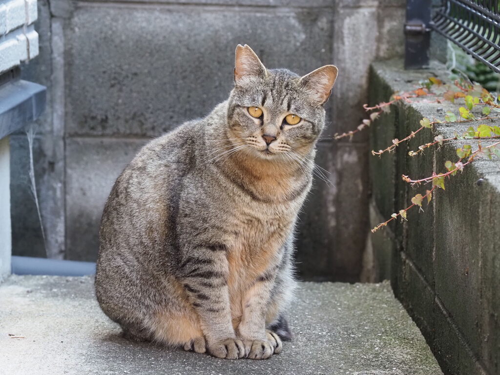 寝込みを襲う♪