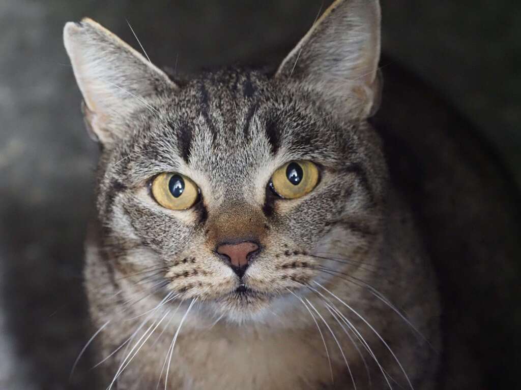 うちの子です♪