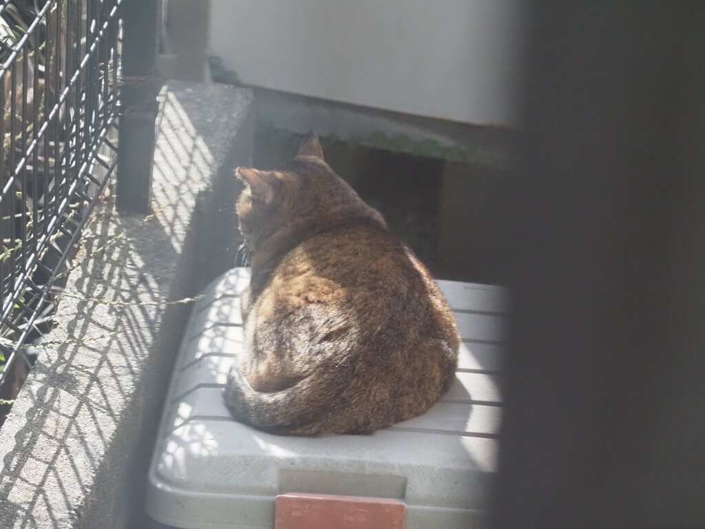 「暖かくなると出て来る」♪