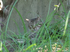 忘れ去られた公園で（続編）♪