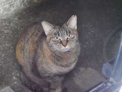 「何故か早い」♪