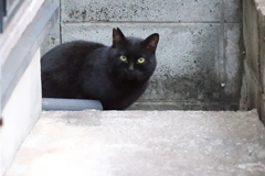 のどグルグル♪