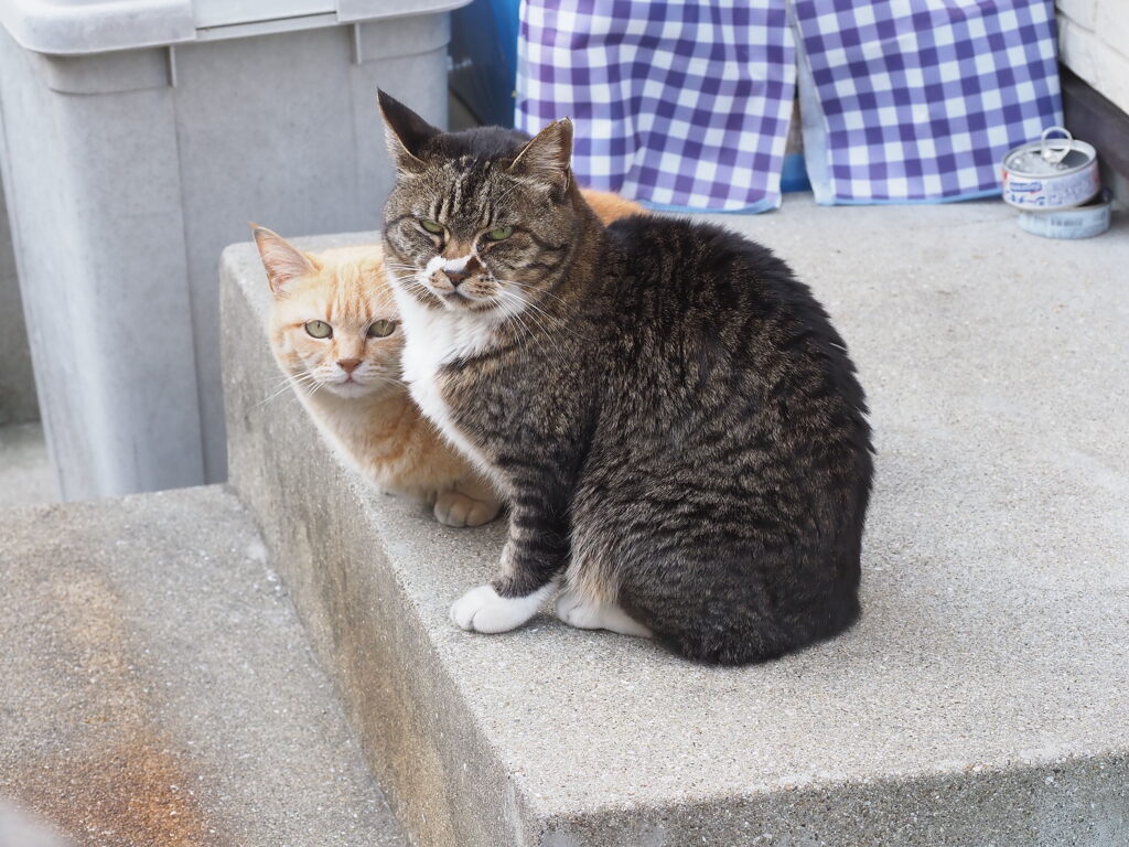 「お揃いで」♪