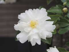 「冬の色」（続編）♪