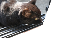 待ちきれない♪