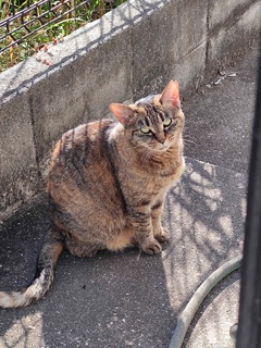 「段々、早くなる」♪