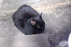 思ったとおり♪