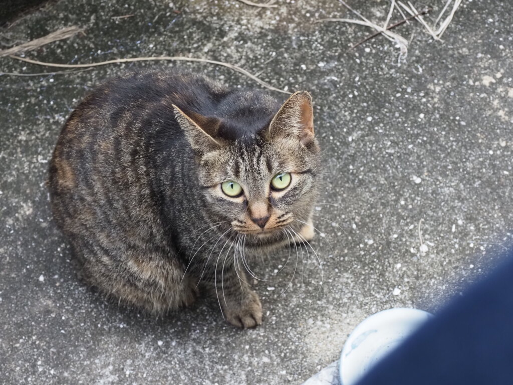 上からゴメンね♪