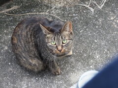 上からゴメンね♪