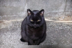 餌、まだか♪