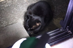 太鼓判♪