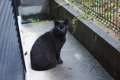 雨は、得意だ♪