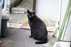 新ポジション♪