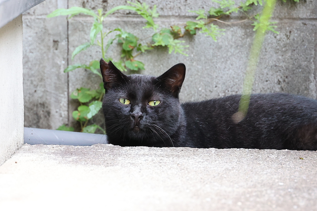 ローアングル♪