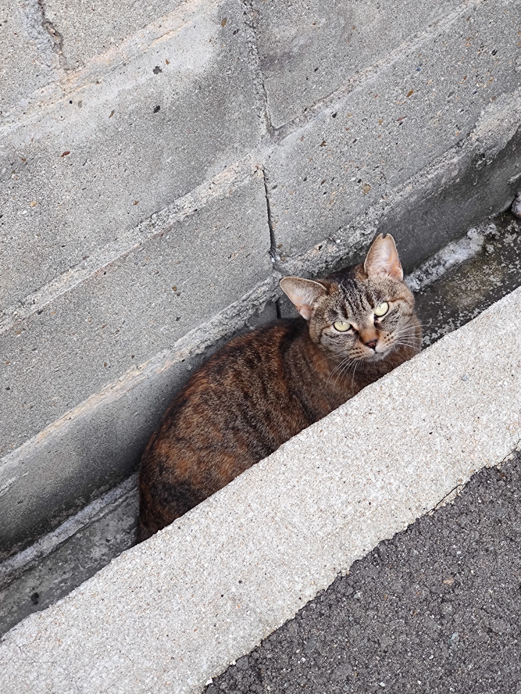 「隠れる」（続編）♪