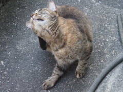 「2日前の夕方」♪