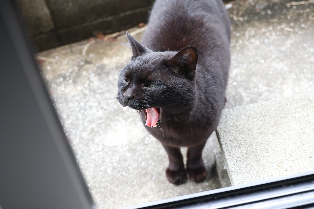 出たね♪