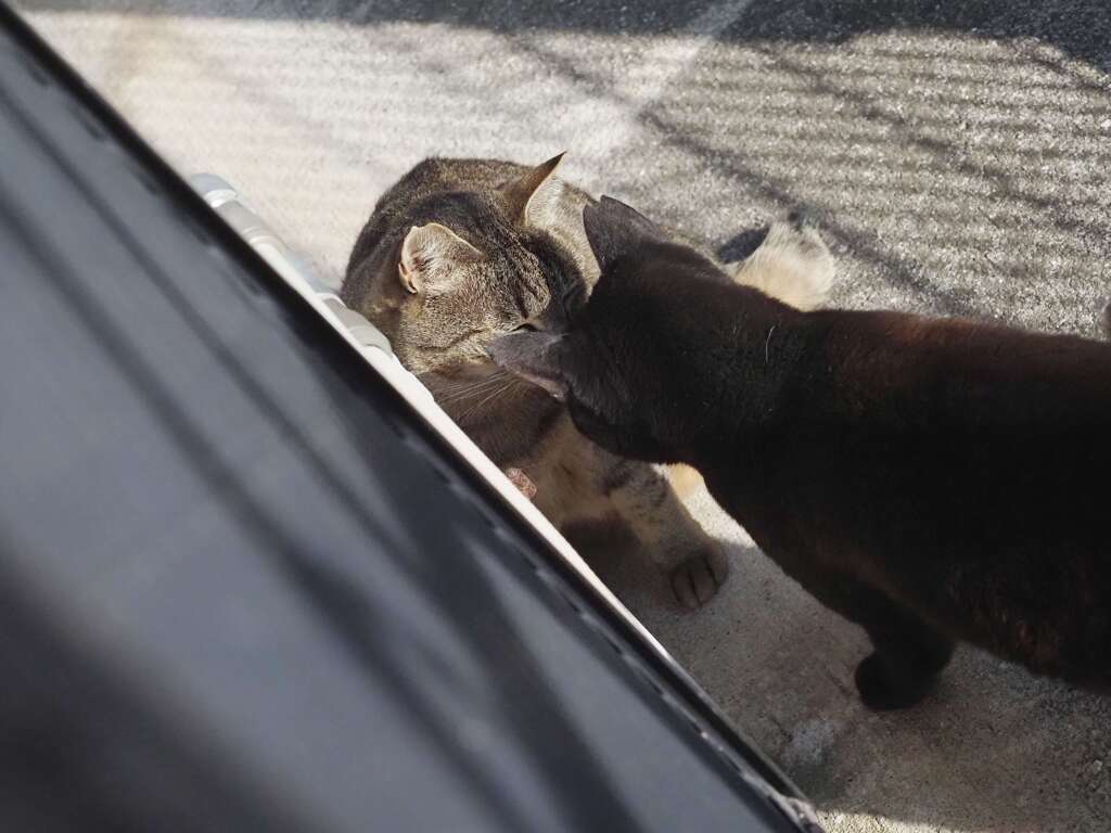 頭ごっつん♪