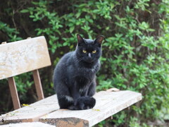 ベンチが好き♪