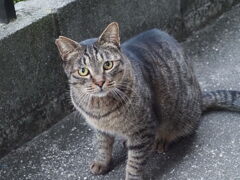 「また来た」♪