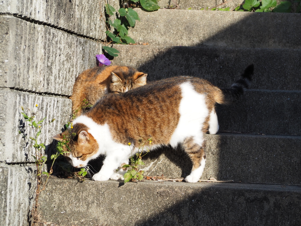 「降りて来た」♪