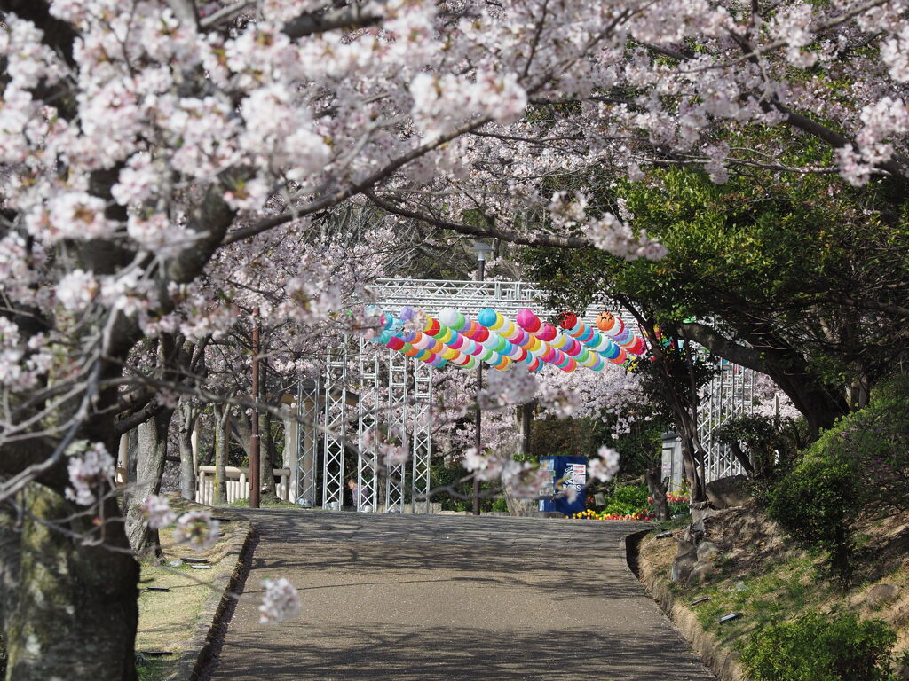 「昼のランタン」（続編）♪
