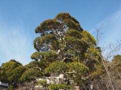 「冬の光景」（3）♪