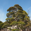 「冬の光景」（3）♪