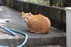朝の顔♪