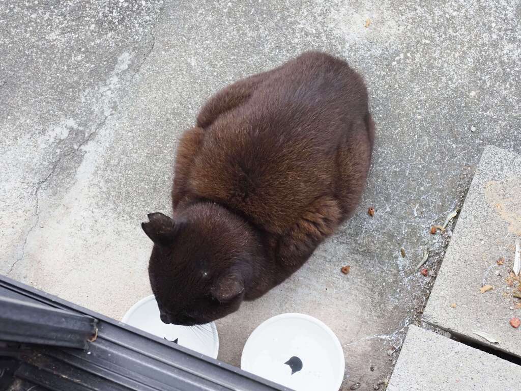 じっとしてる♪