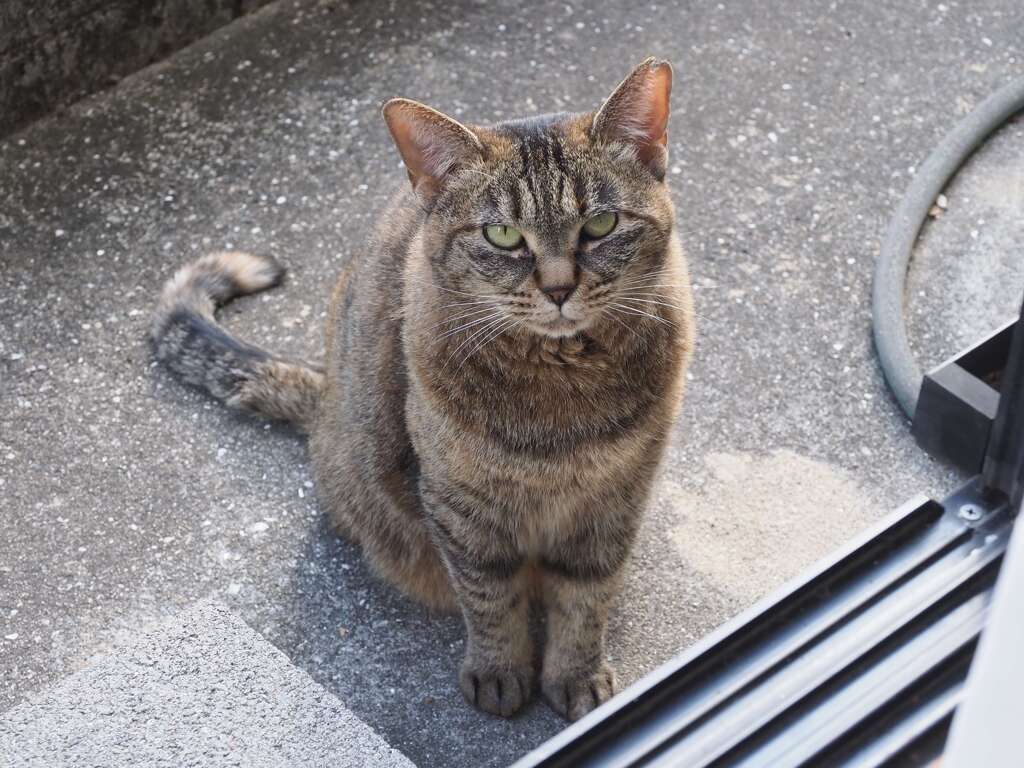 「新春・昼下がり」♪