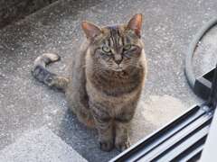 「新春・昼下がり」♪