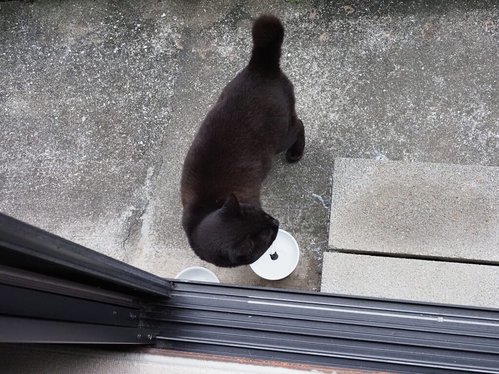 視線の先には♪