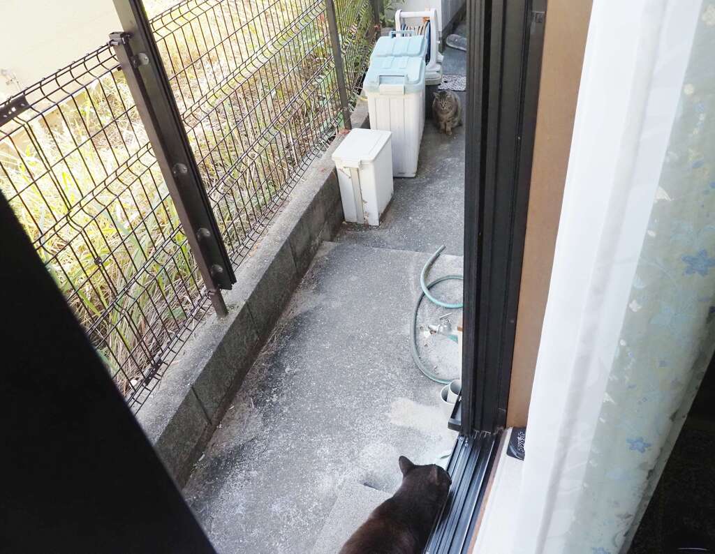 対決♪